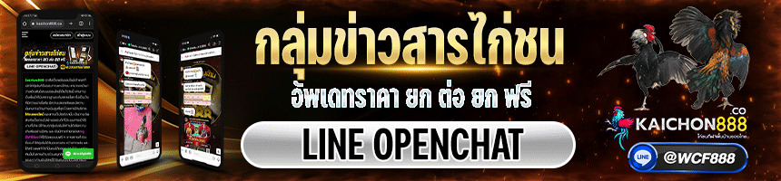 เเบนเนอร์ไก่-888